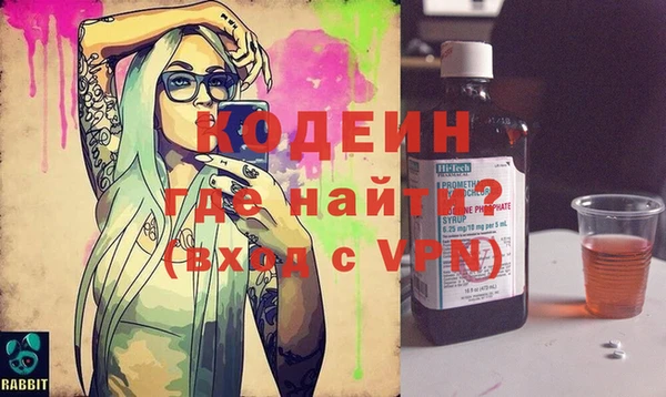ECSTASY Гусь-Хрустальный