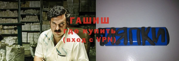 ECSTASY Гусь-Хрустальный