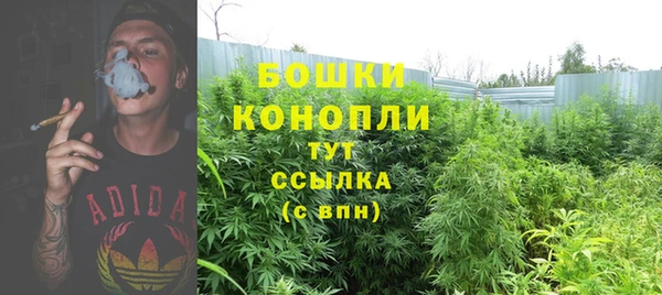 дурь Дмитровск