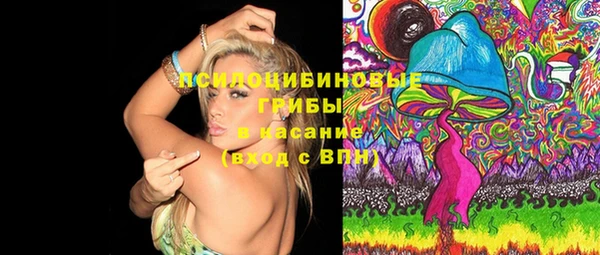 ECSTASY Гусь-Хрустальный