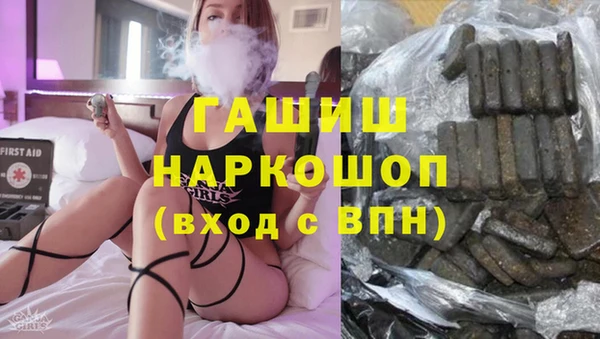 ECSTASY Гусь-Хрустальный