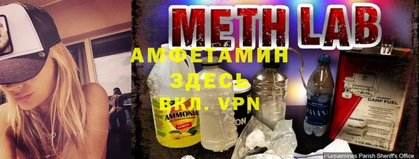 ECSTASY Гусь-Хрустальный