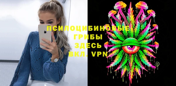 ALPHA PVP Гусев