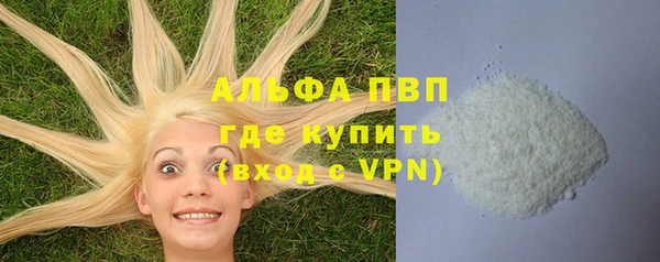 ALPHA PVP Гусев