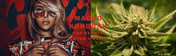 ECSTASY Гусь-Хрустальный