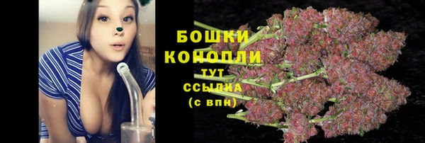 дурь Дмитровск